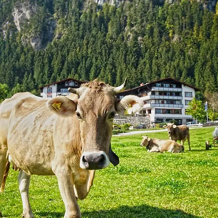 Familotel Bavaria Pfronten-familien Hotel-alles Inklusive Konzept Pfronten