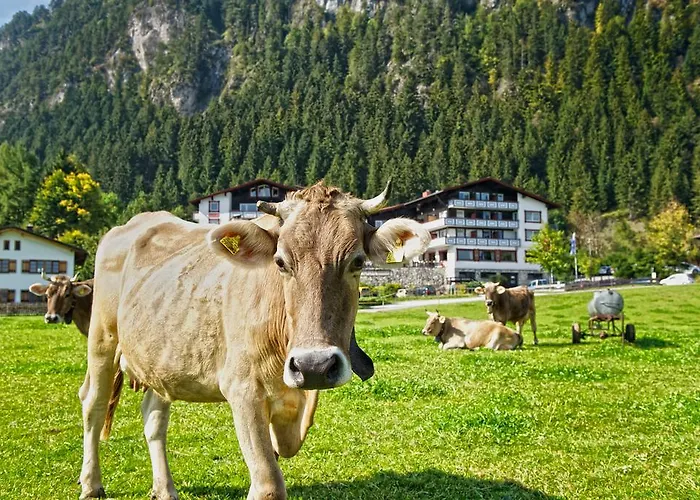 Familotel Bavaria Pfronten-familien Hotel-alles Inklusive Konzept Pfronten